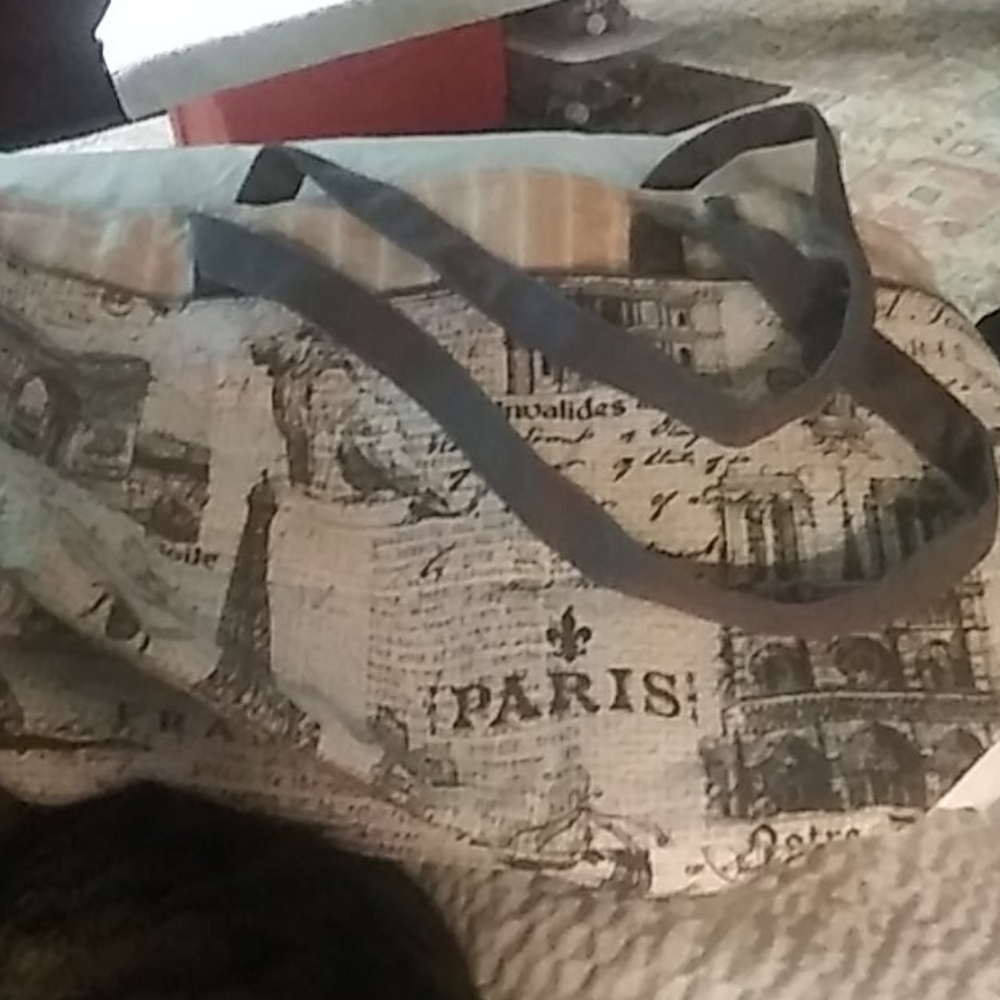 Paris hand bag